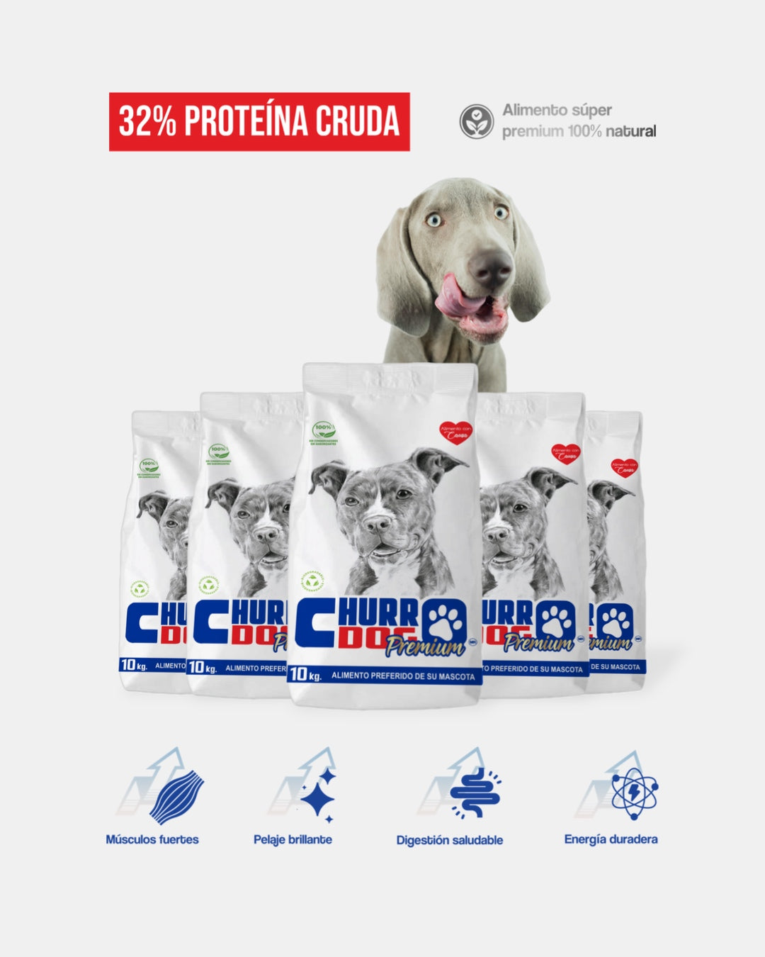 ChurroDog 100 kg – Pack Mayorista para Criadores y Rescatistas