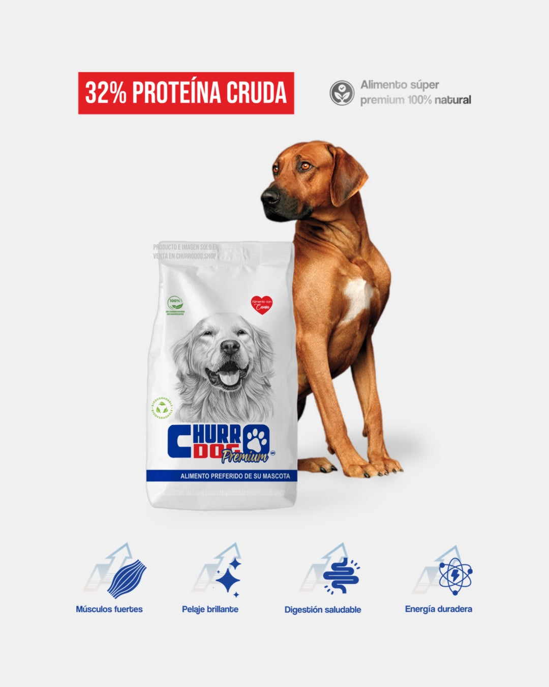 ChurroDog 8 kg – Sabor y Nutrición para Toda la Manada