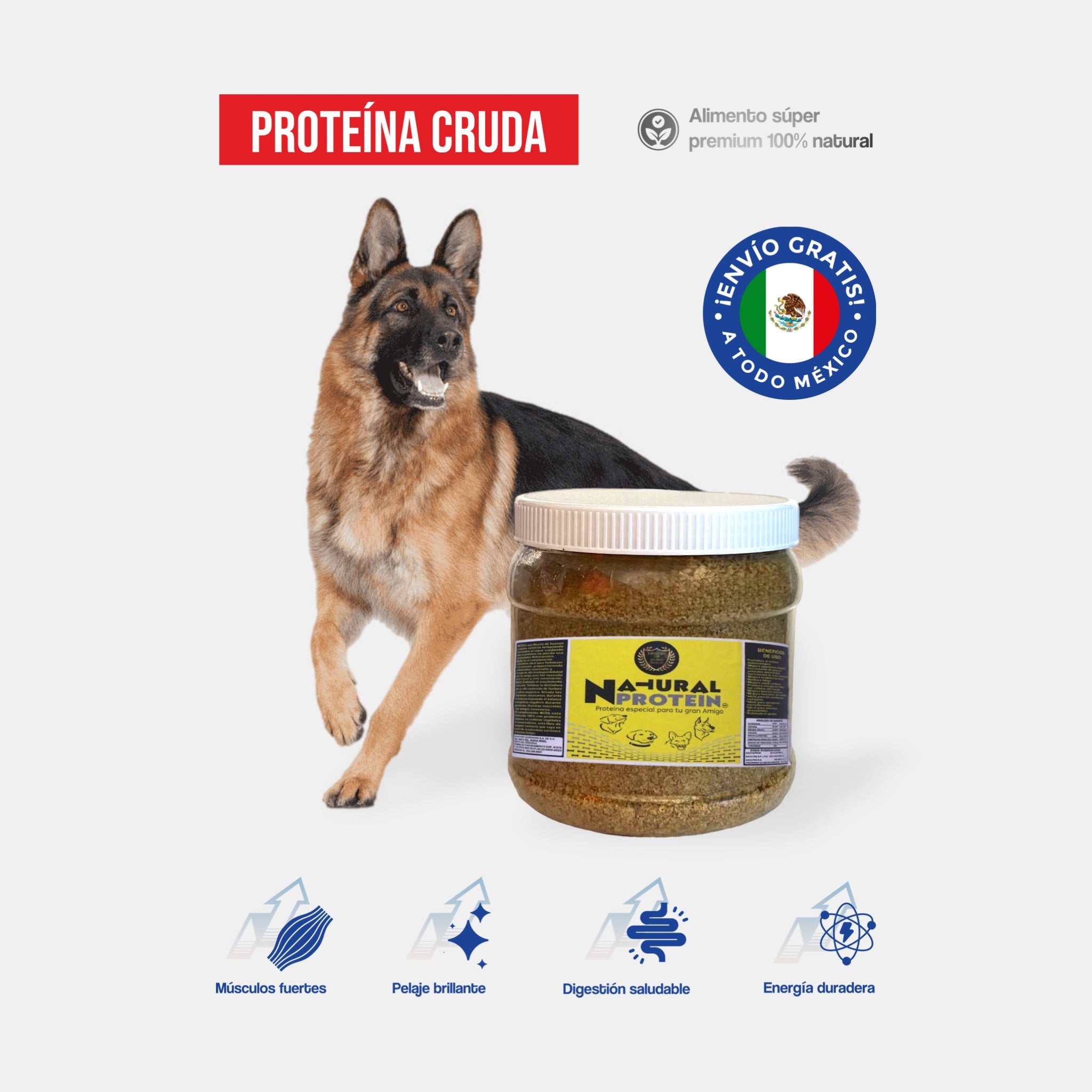 ChurroDog – Proteína Premium para Perros Activos y Saludables